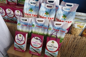 Cà Mau: Tăng cường thực hiện các nhiệm vụ, giải pháp thúc đẩy sản xuất, xuất khẩu gạo