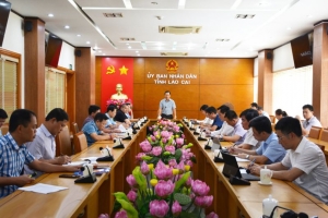 BCĐ 389 Lào Cai: Chủ động phối hợp trong công tác chống buôn lậu, gian lận thương mại và hàng giả