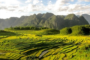 Du lịch xứ Thanh nỗ lực đa dạng sản phẩm để thu hút du khách
