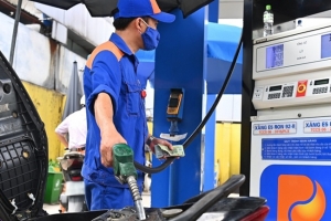 Long An: Tăng cường quản lý nhà nước trong lĩnh vực kinh doanh xăng dầu