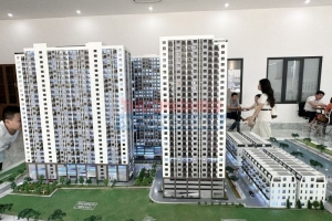 Tìm hiểu về sản phẩm nhà ở xã hội tại 384 Lê Thánh Tông tại Hải Phòng