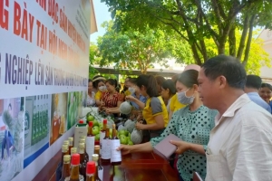Nghệ An: “Bén duyên” sàn thương mại điện tử