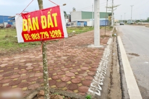 "Thị trường bất động sản không... dò đáy như 10 năm trước"