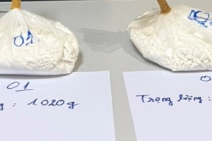 TP. Hồ Chí Minh: Điều tra vụ người phụ nữ nước ngoài vận chuyển hơn 2,3kg ma túy
