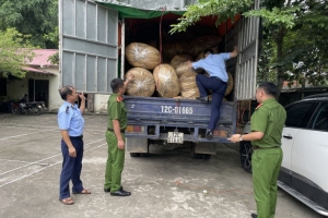 Lạng Sơn: Xử phạt vi phạm đối với cá nhân thu mua nguyên liệu thuốc lá không có giấy phép