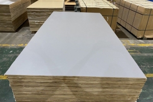 Phán quyết cuối cùng vụ việc điều tra chống lẩn tránh thuế chống bán phá giá và chống trợ cấp mặt hàng gỗ dán cứng nhập khẩu từ Việt Nam