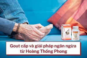 Hiểu về gout cấp và giải pháp ngăn ngừa từ Hoàng Thống Phong