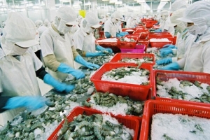 Thị trường xuất khẩu tôm xu hướng tăng trở lại