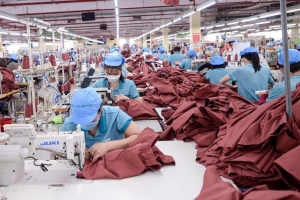 Xu hướng thu mua và tiêu dùng tại thị trường châu Âu