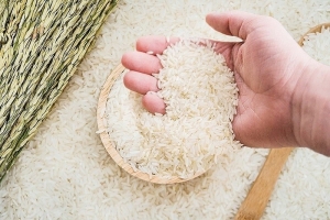 Giá lúa gạo hôm nay 25/7: Tăng mạnh 200 – 300 đồng/kg