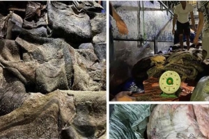 Phát hiện hơn 3 tấn mỡ và da động vật bốc mùi hôi thối không rõ nguồn gốc