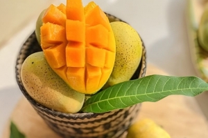 Xoài tròn Yên Châu: Hương vị đậm đà