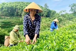 Thanh Hóa phê duyệt Kế hoạch thực hiện chương trình khuyến nông năm 2024