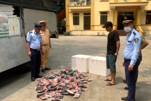 Nghệ An: Buộc tiêu hủy 200 kg thịt lợn đông lạnh không rõ nguồn gốc
