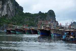 Quảng Ninh: Cấm lưu hành các tàu cá vi phạm khai thác IUU từ ngày 1/9