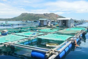 Đề nghị các địa phương tăng cường chỉ đạo nuôi trồng thủy sản các tháng cuối năm