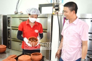 Nam Định: Hiệu quả kinh tế từ nuôi cá chạch đồng