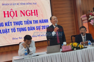 Đồng Nai: Tổng kết thực tiễn thi hành Bộ luật Tố tụng Hình sự và Dân sự năm 2015