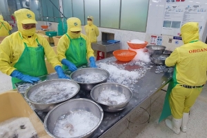 Cà Mau: Phấn đấu đến năm 2025, khu vực doanh nghiệp đóng góp khoảng 65 - 70% GRDP