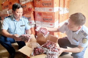 Quản lý thị trường Lào Cai phát hiện 2.000 gói táo đỏ khô không rõ nguồn gốc xuất xứ