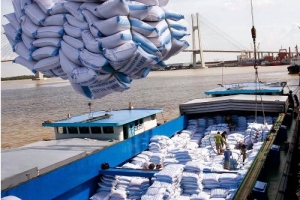 Giá gạo xuất khấu của Việt Nam liên tục tăng mạnh - lập kỷ lục cao nhất trong 11 năm qua