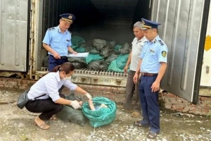 Thu giữ 1,5 tấn móng giò lợn bốc mùi hôi thối tại Lạng Sơn