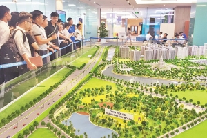 VARS: Thành lập Sàn giao dịch quyền sử dụng đất sẽ giúp minh bạch giá mua bán quyền sử dụng đất