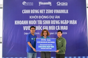 Đẩy mạnh dự án "Cánh rừng NET ZERO”, Vinamilk khoanh nuôi tái sinh 25 ha rừng ngập mặn Cà Mau