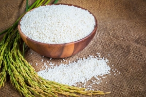 Giá lúa gạo hôm nay 22/8: Điều chỉnh tăng nhiều mặt hàng lúa