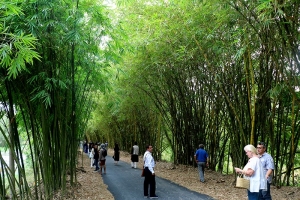 Đồng Tháp có 2 điểm du lịch tiêu biểu đồng bằng sông Cửu Long