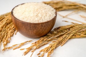 Giá lúa gạo hôm nay 3/9: Điều chỉnh tăng mặt hàng lúa