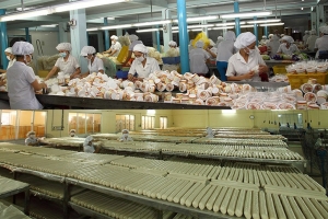 Nhiều cơ hội xuất khẩu hàng Việt sang Indonesia