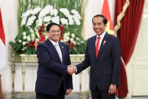 Thủ tướng Phạm Minh Chính hội kiến Tổng thống Indonesia