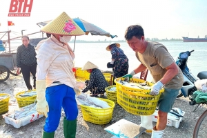 Thanh Hóa: Thúc đẩy phát triển dịch vụ hậu cần nghề cá
