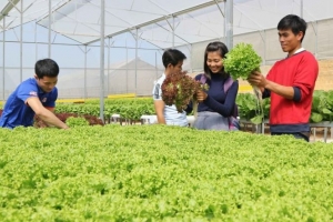 Tín dụng xanh - mục tiêu trọng điểm trong định hướng hoạt động của Agribank