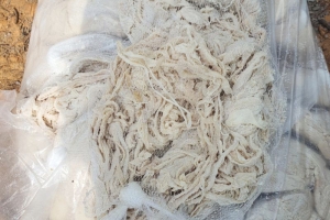 Quảng Ninh: Đồn Biên phòng cửa khẩu Hoành Mô bắt vụ vận chuyển 1.350 kg lòng lợn không rõ nguồn gốc