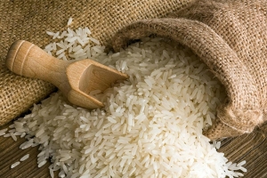 Giá lúa gạo hôm nay 9/9: Thị trường giao dịch chậm