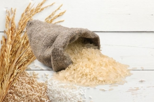 Giá lúa gạo hôm nay: Xuất khẩu ổn định, trong nước biến động mạnh