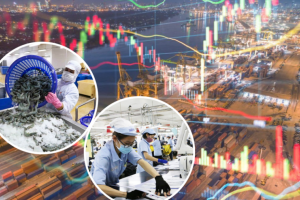 Diễn biến phiên chứng khoán sáng 20/9: Dòng tiền chuyển hướng qua nhóm cổ phiếu dệt may và thủy sản