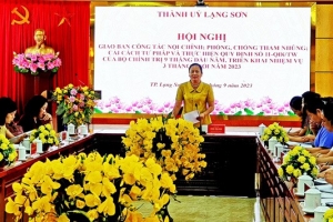 Thành uỷ Lạng Sơn: Giao ban công tác nội chính, phòng chống tham nhũng