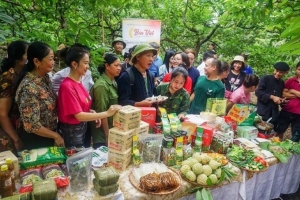 Thái Nguyên: Phát triển dự án liên kết sản xuất theo chuỗi giá trị lĩnh vực nông nghiệp