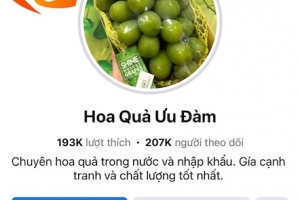 Hoa quả Ưu Đàm có nhiều sản phẩm không rõ nguồn gốc, không nhãn phụ Tiếng Việt