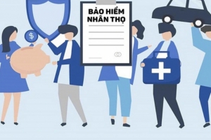 Đề nghị kiểm toán bảo hiểm nhân thọ hoặc thông qua kiểm toán các tổ chức tín dụng và bảo hiểm