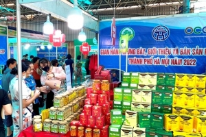 Doanh nghiệp phân phối "rục rịch" chuẩn bị hàng hóa phục vụ mùa Tết