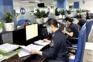 Cục Hải quan TP. Hồ Chí Minh tăng cường chống gian lận từ mặt hàng thuế suất cao
