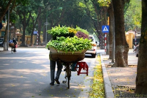 Dự báo thời tiết ngày 01/10: Miền Bắc nắng nóng, miền Nam mưa và triều cường