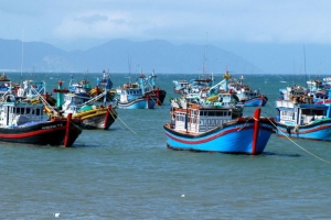 Công tác chống khai thác IUU vẫn còn nhiều hạn chế, bất cập