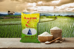 Giá gạo thế giới điều chỉnh tăng từ 3-15 USD/tấn