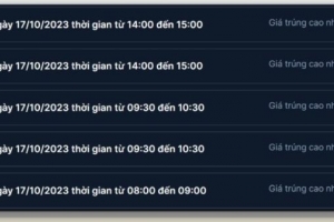 Hải Phòng đấu giá một biển số xe ô tô đạt tiền tỷ