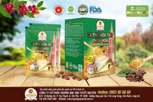 Tuyết Nguyên Coffee: Cà phê Việt chinh phục thị trường Quốc tế